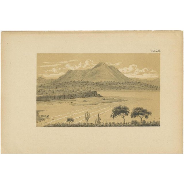 After Karl Martin, Aruba Landscape & Mountain Views, Dutch West Indies, 1888, Prints, Set of 2 For Sale - Image 3 of 10