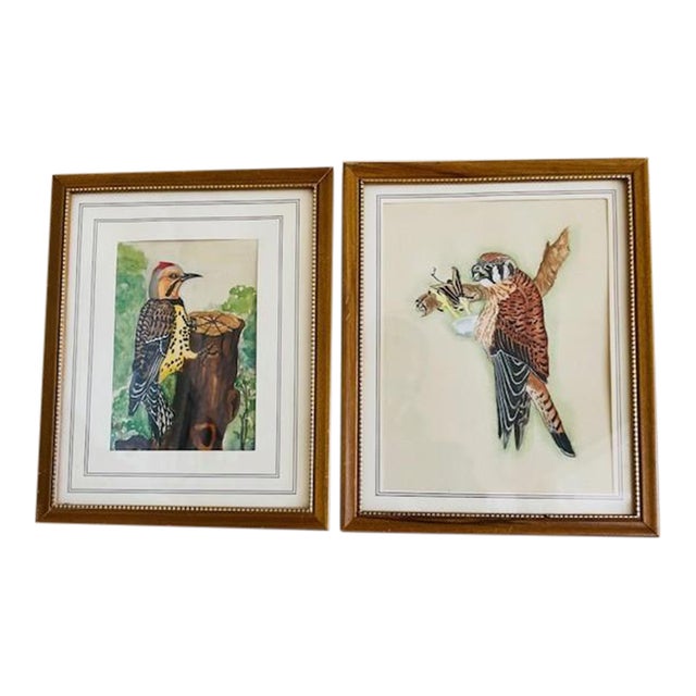 Mid 20th Century Original Bird Watercolors, Vintage, A Pair For Sale