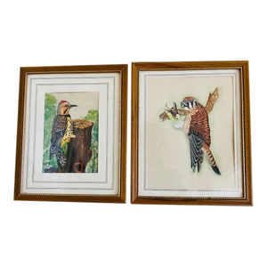 Mid 20th Century Original Bird Watercolors, Vintage, A Pair