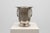 Art Deco Equestrian Champagne Bucket with Stirrup Handles, France, 1930s For Sale - Image 11 of 11