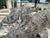 Pair of Weathered French Cement Dolphin Fountain Spouts, Circa 1970s For Sale - Image 13 of 16