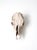 Mid 20th Century Rustic Weathered Cow Skull For Sale - Image 5 of 13