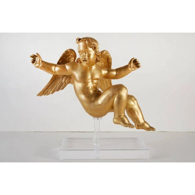 Wood Rare, Early 19th Century, Gilded Presentational Cherubim, circa 1825 - A Pair For Sale - Image 7 of 9