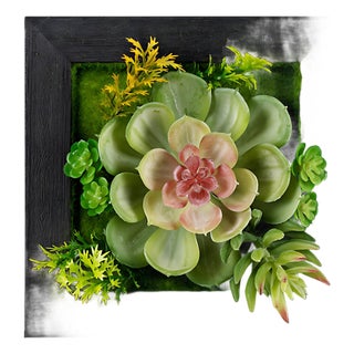 Hanging Succulent Box Wall Decor (Set of 6) For Sale
