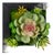 Hanging Succulent Box Wall Decor (Set of 6) For Sale