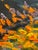 Autumn Reflection Impressionist Oil Painting For Sale In Chicago - Image 6 of 8