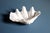 1990s Natural Tridacna Giant Clam Shell - Large seashell bowl - shell decor For Sale - Image 5 of 10