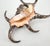 Seashell Shell Silvered For Sale - Image 9 of 12