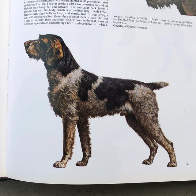 1980s Dogs of the World by Maurizio Bongianni & Concetta Mori For Sale In New York - Image 6 of 13