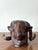 This compelling vintage cast bronze ram's head sculpture embodies a distinctive blend of rustic charm and artistic...