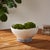 From the Grecian blue dot striped pattern to the exposed clay rim, our Sea Breeze Decorative Bowl is Coastalinspired. With...
