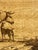 Adriaen Van De Velde Old Master Etching of a Golden Age Pastoral Scene W/ Watermark & Collector's Mark For Sale - Image 11 of 12