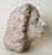 Expressive White Bust of a Man with Mustache and Long Hair, 1960s, Clay For Sale - Image 6 of 10