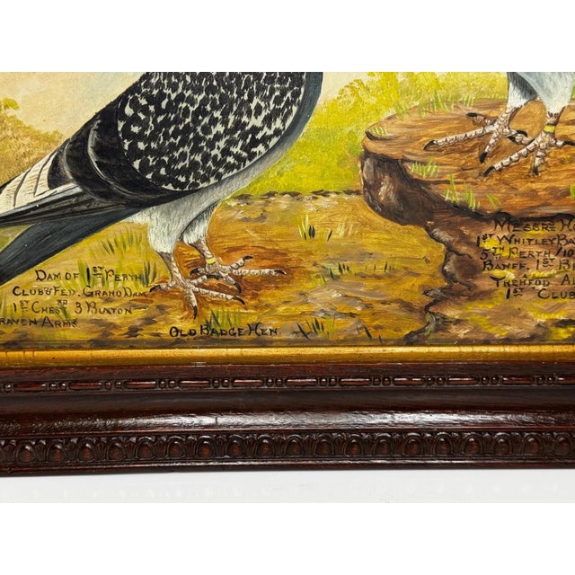 Wood Old Badge Hen & Champion Cock Racing Pigeons Oil Portrait Winner Whitley Bay 1909 in the Manner of Andrew Beer. For Sale - Image 7 of 18