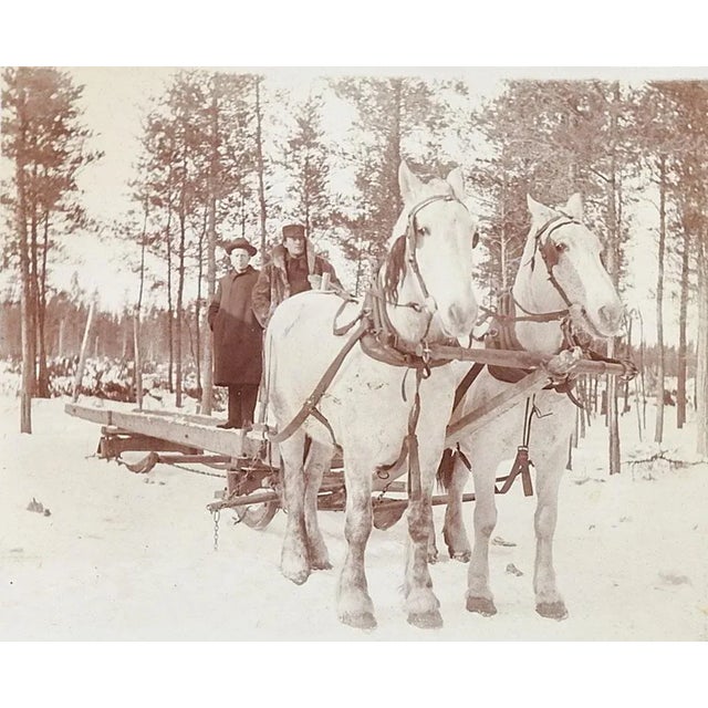 American Antique Horse Drawn Logging Sled Winter Snow Photograph For Sale - Image 3 of 3