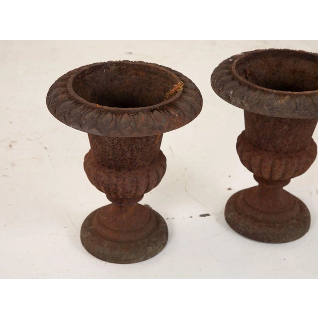 Metal Pair of Cast Iron Urns, French 19th Century For Sale - Image 7 of 13
