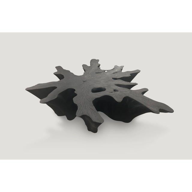 Andrianna Shamaris Organic Charred Teak Wood Coffee Table For Sale - Image 14 of 18