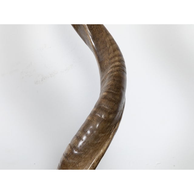 Brown Pair of European Midcentury Horns Mounted on Silver and Black Stepped Bases For Sale - Image 8 of 8