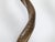 Brown Pair of European Midcentury Horns Mounted on Silver and Black Stepped Bases For Sale - Image 8 of 8