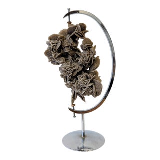 Desert Rose Crystal Specimen on Chrome Stand, 1970s For Sale