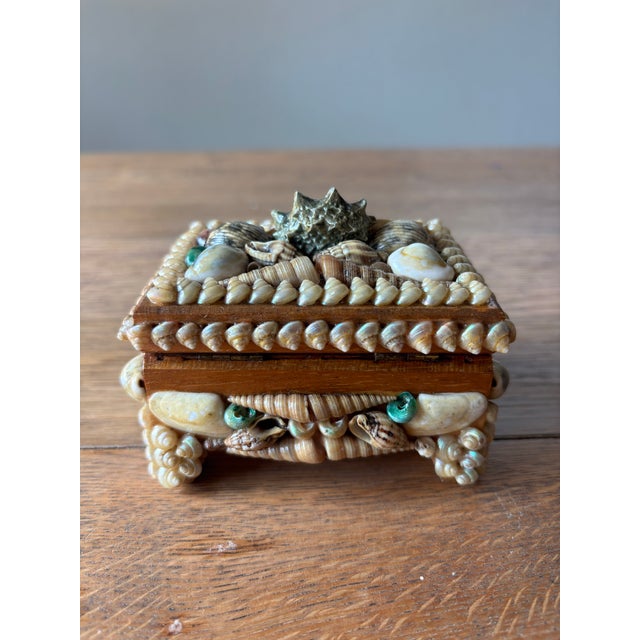 Mid 20th Century Vintage English Shell Box For Sale - Image 5 of 8