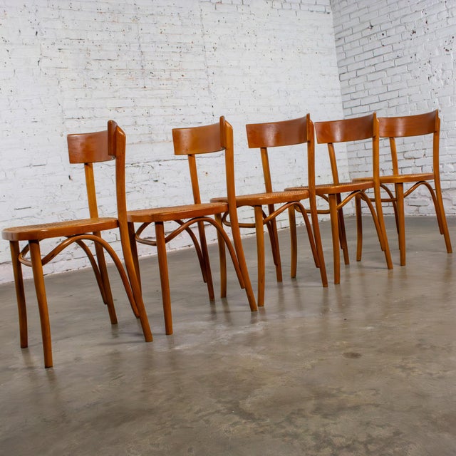Mid to Late 20th Century Bauhaus Beech Bentwood Dining Chairs W/Cane Seats by Thonet Set of 5 For Sale - Image 13 of 18