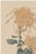 A beautifully restored reproduction of Keika hyakugiku, Plate 02 (1893) by Japanese artist Keika Hasegawa. Originally...