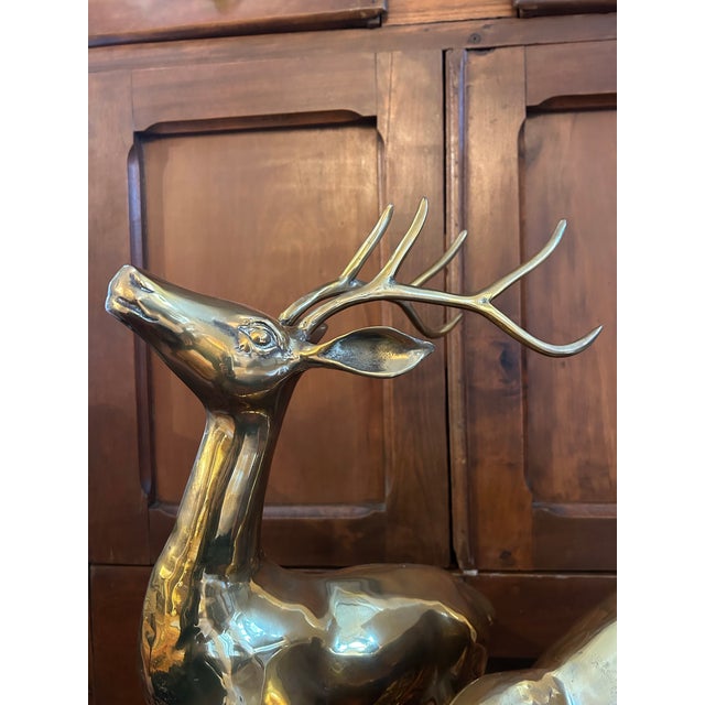 Brass Mid 20th Century Large Polished Brass Deer Statues - A Pair For Sale - Image 8 of 11