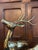 Brass Mid 20th Century Large Polished Brass Deer Statues - A Pair For Sale - Image 8 of 11