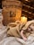 Haunted Heirlooms Paska Bride & Baby Doll – Vintage 1930s Crate For Sale In Denver - Image 6 of 7