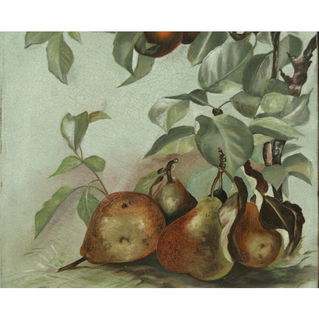 Pears Aplenty in Victorian Days 1890s Exceptionally well painted Pear example from earlier days and simpler times....