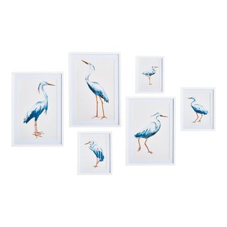 Blue Heron Gallery Prints, Set Of 6 For Sale