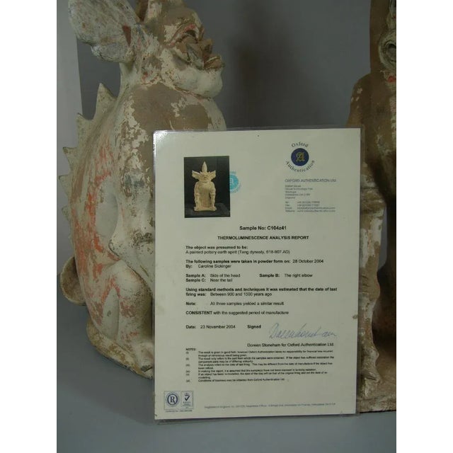 Tang Dynasty Terra Cotta Earth Spirit Sculptures - a Pair For Sale - Image 10 of 11
