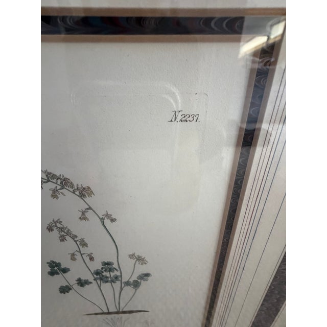 Cream Pair of Antique Botanical Illustrations by J. Curtis and John Moggridge, Ethan Allen For Sale - Image 8 of 12