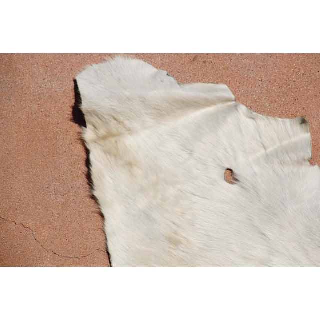 Hand-Crafted White Cowhide Rug from Argentina, Folk Art Style, 1980 For Sale - Image 16 of 18