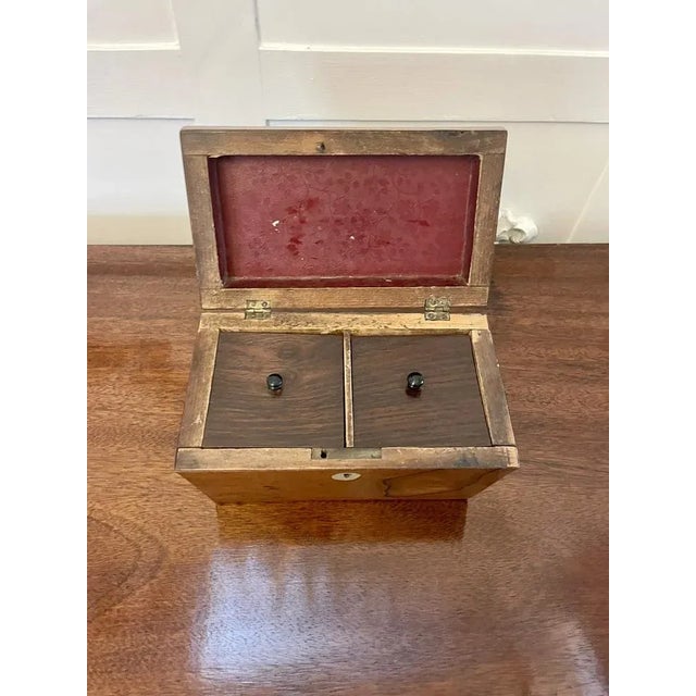 Early 19th Century Regency Rosewood Tea Caddy, 1830s For Sale - Image 5 of 10