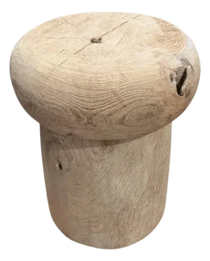 Andrianna Shamaris Wabi Sabi Teak Wood Side Table