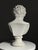 Bust of Meleager, Late 20th century, Stone For Sale - Image 14 of 18