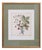 Elisabeth Haussard, Plant Illustrations, 1780, Engravings, Framed, Set of 2 For Sale