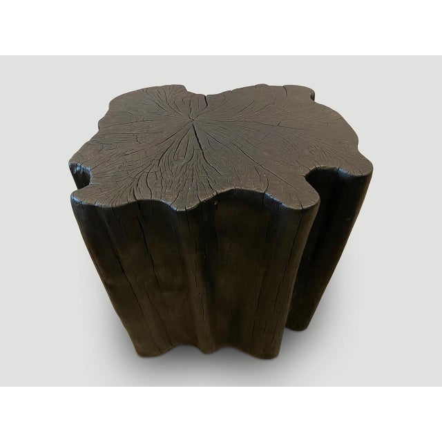 Andrianna Shamaris Amorphous Charred Side Table For Sale - Image 13 of 18