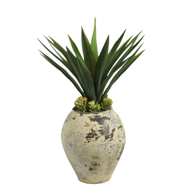 Earth Ware Pot W/Faux Yucca Needle Point For Sale