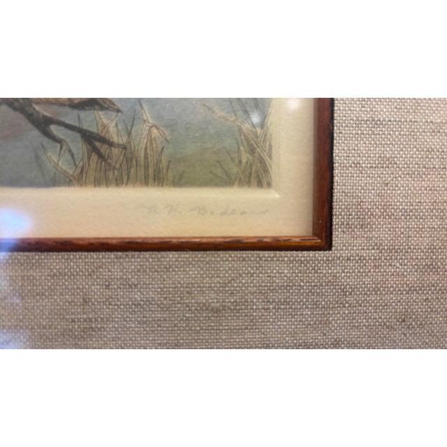 Coastal 1980s Rachel H. Badeau Original Wood Duck Wildlife Etching Hand Painted Inlaid Frame For Sale - Image 3 of 9
