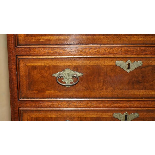 Burr Walnut Tallboy Chest of 10 Drawers For Sale - Image 10 of 18