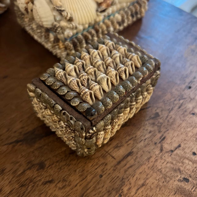 Mid 20th Century Seashell Encrusted Boxes- Collection of 4 For Sale - Image 5 of 7