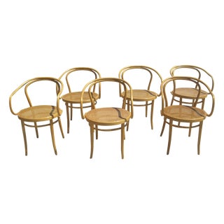 Thonet Style Bentwood Caned Armchairs - Set of 6 For Sale