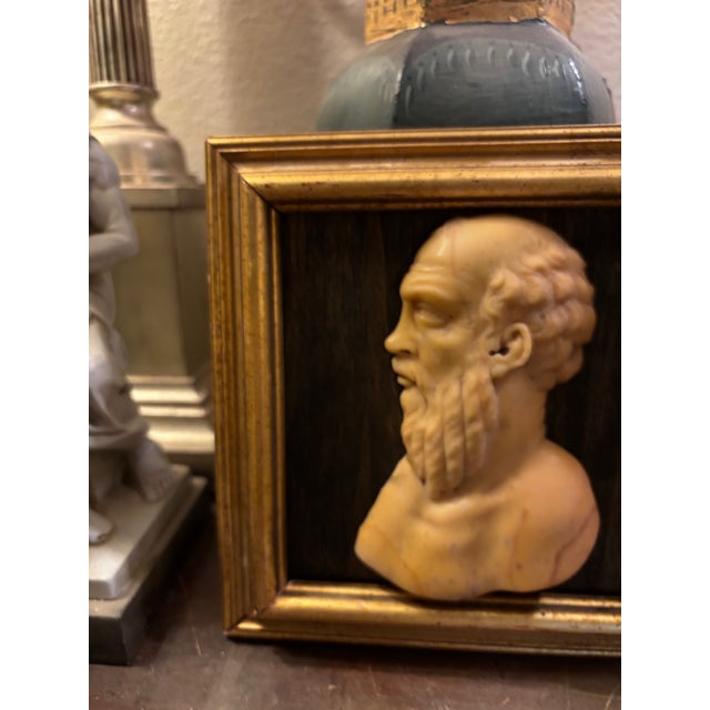 Early 19th Century Italian Grand Tour Siena Marble Relief Portrait of the Ancient Greek Philosopher Socrates For Sale - Image 10 of 12