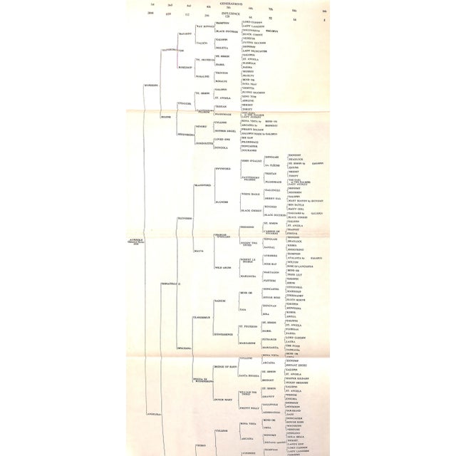 "Bloodstock Breeding" 1958 Leicester, Sir Charles For Sale In New York - Image 6 of 6