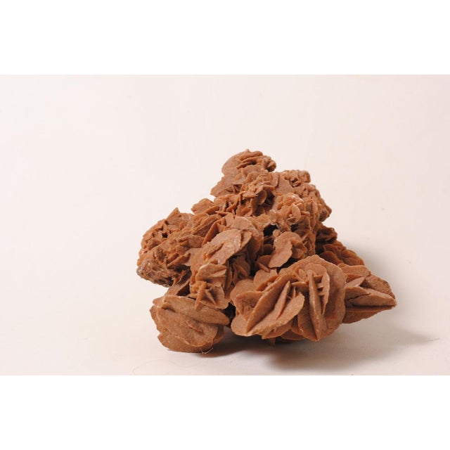 Very Large Selenite or Desert Rose Crystal For Sale - Image 6 of 8