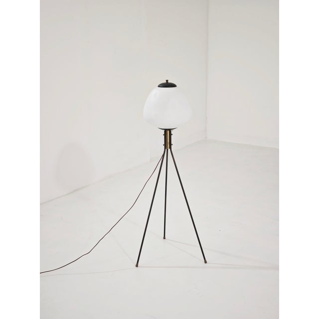 Mid-Century Modern Tripod Floor Lamp in Brass and Opaline Glass, Italy, 1960 For Sale - Image 13 of 14