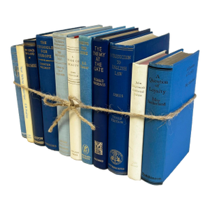 Decorative Books - Vintage Coastal Shores Book Bundle - 1 Foot of Blue and Cream Books